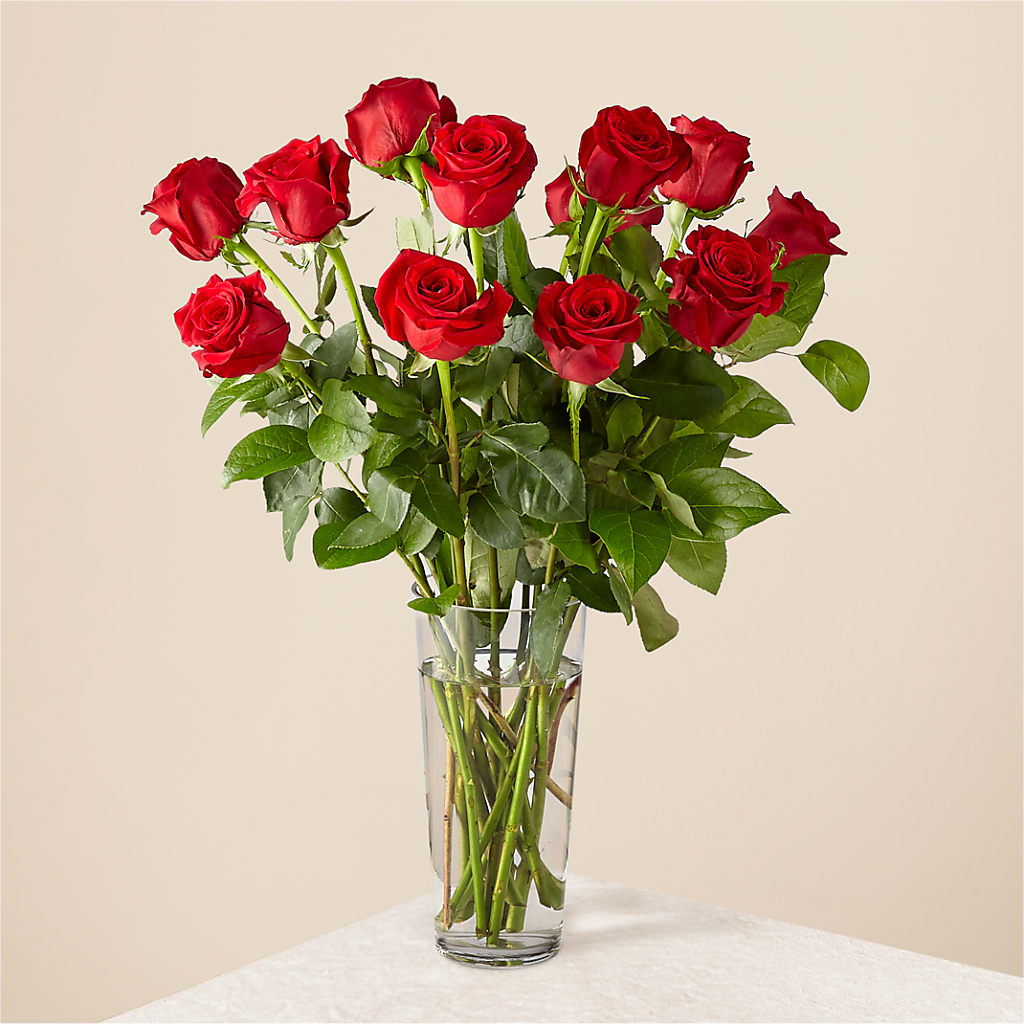 Long Stem Red Rose Bouquet – Foryouflower.com, Tontitown AR
