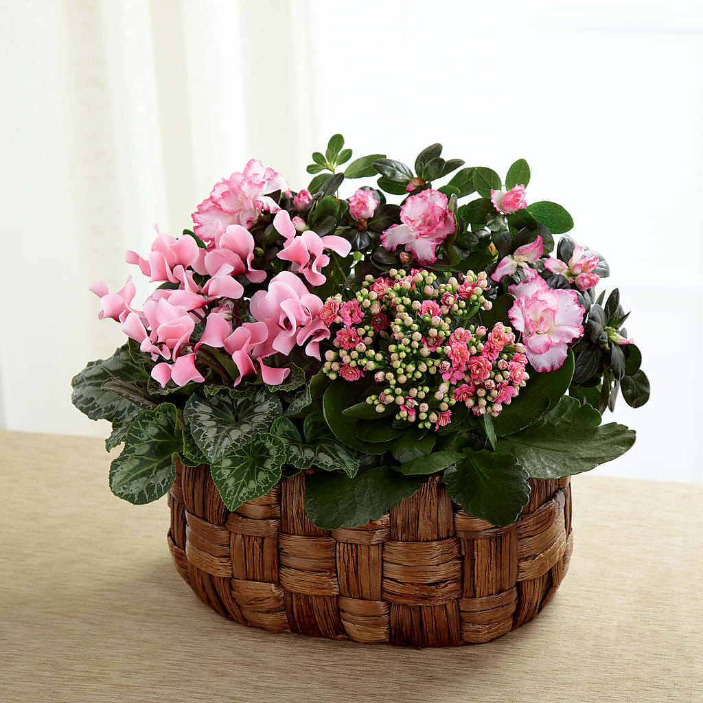 Pink Assortment – Foryouflower.com, Tontitown AR