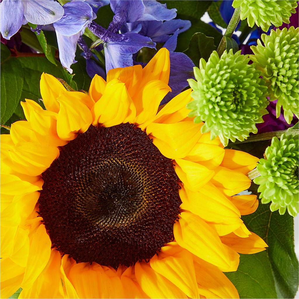 Catching Rays Bouquet – Foryouflower.com, Tontitown AR