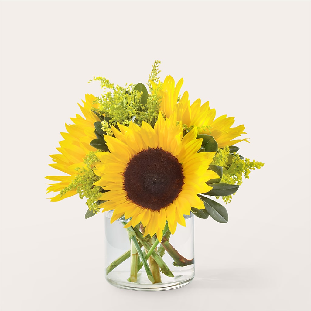 Beaming Sunflower Bouquet – Foryouflower.com, Tontitown AR