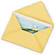 Greeting Card – Foryouflower.com, Tontitown AR