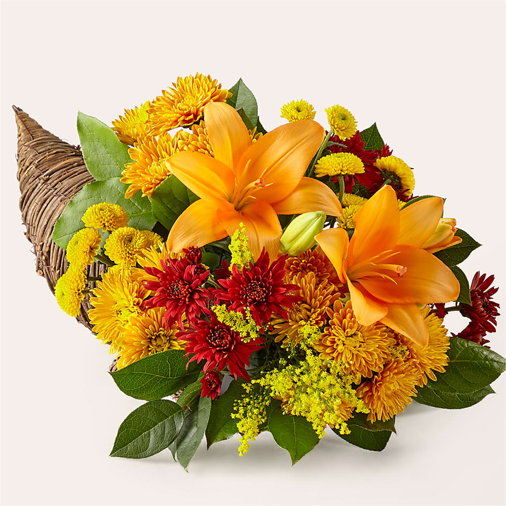 Feast of Color Cornucopia – Foryouflower.com, Tontitown AR
