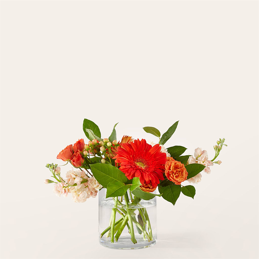 Paloma Please Bouquet – Foryouflower.com, Tontitown AR
