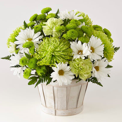 Lucky Charm Basket (Standard) –  Foryouflower.com, Tontitown AR