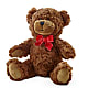 Adorable Plush Bear –  Foryouflower.com, Tontitown AR