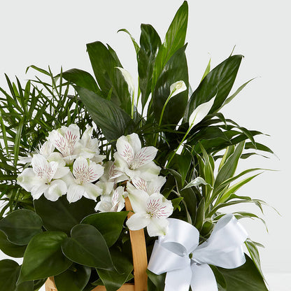 Peace & Serenity Dishgarden –  Foryouflower.com, Tontitown AR