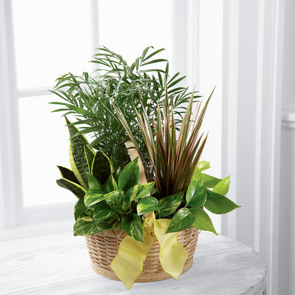 French Garden –  Foryouflower.com, Tontitown AR