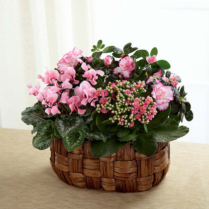 Pink Assortment –  Foryouflower.com, Tontitown AR
