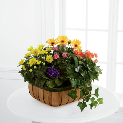 Gentle Blossoms Basket –  Foryouflower.com, Tontitown AR