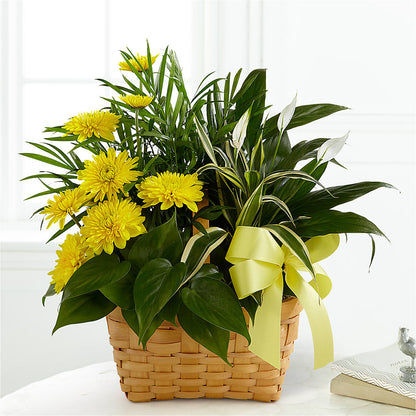 Loving Light Dishgarden –  Foryouflower.com, Tontitown AR
