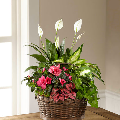 Dream in Pink Dishgarden –  Foryouflower.com, Tontitown AR