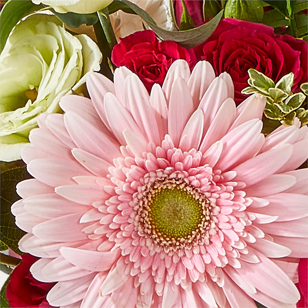 Too Cute Bouquet –  Foryouflower.com, Tontitown AR