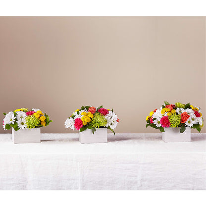 Sorbet Bouquet –  Foryouflower.com, Tontitown AR