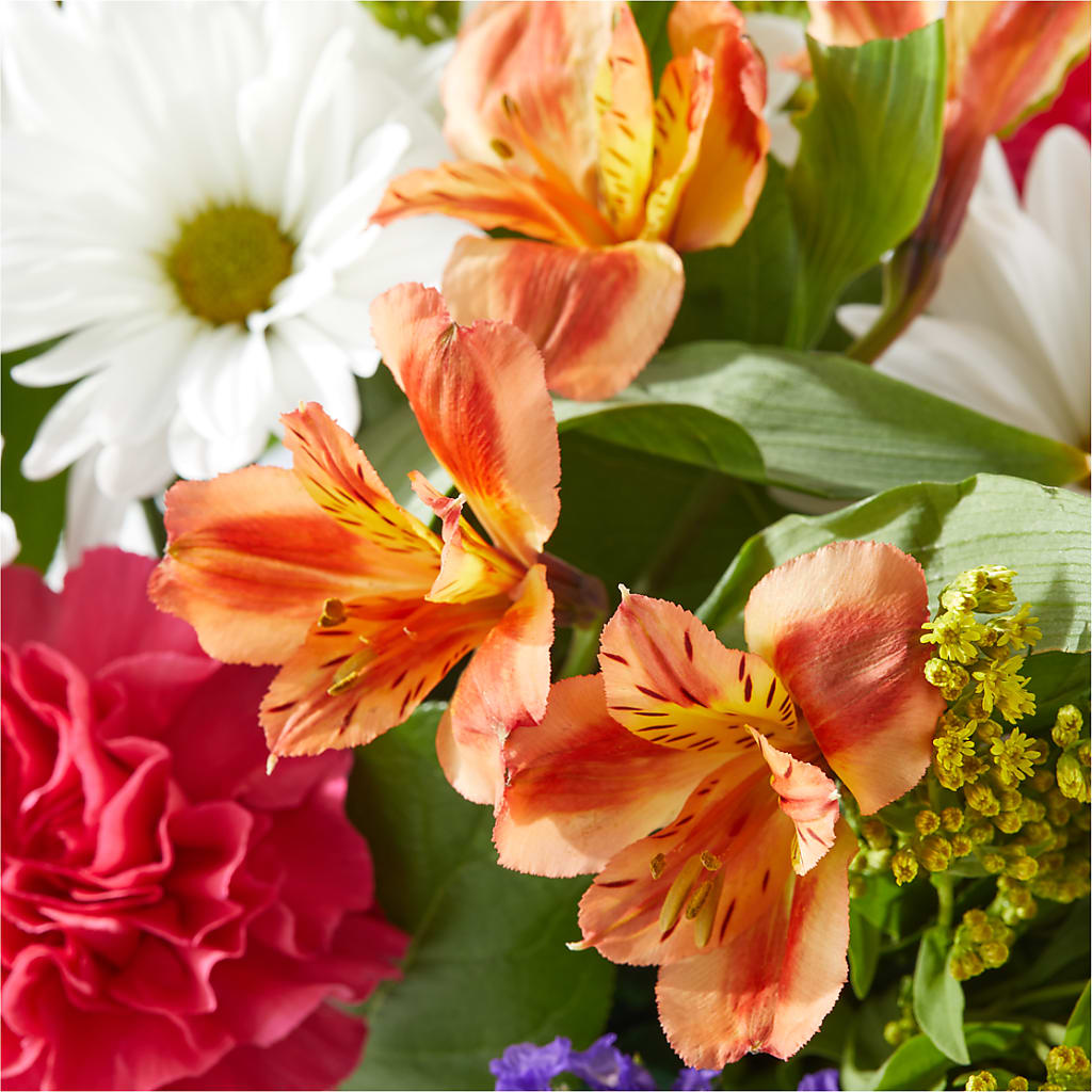 Oopsie Daisy Box Bouquet –  Foryouflower.com, Tontitown AR
