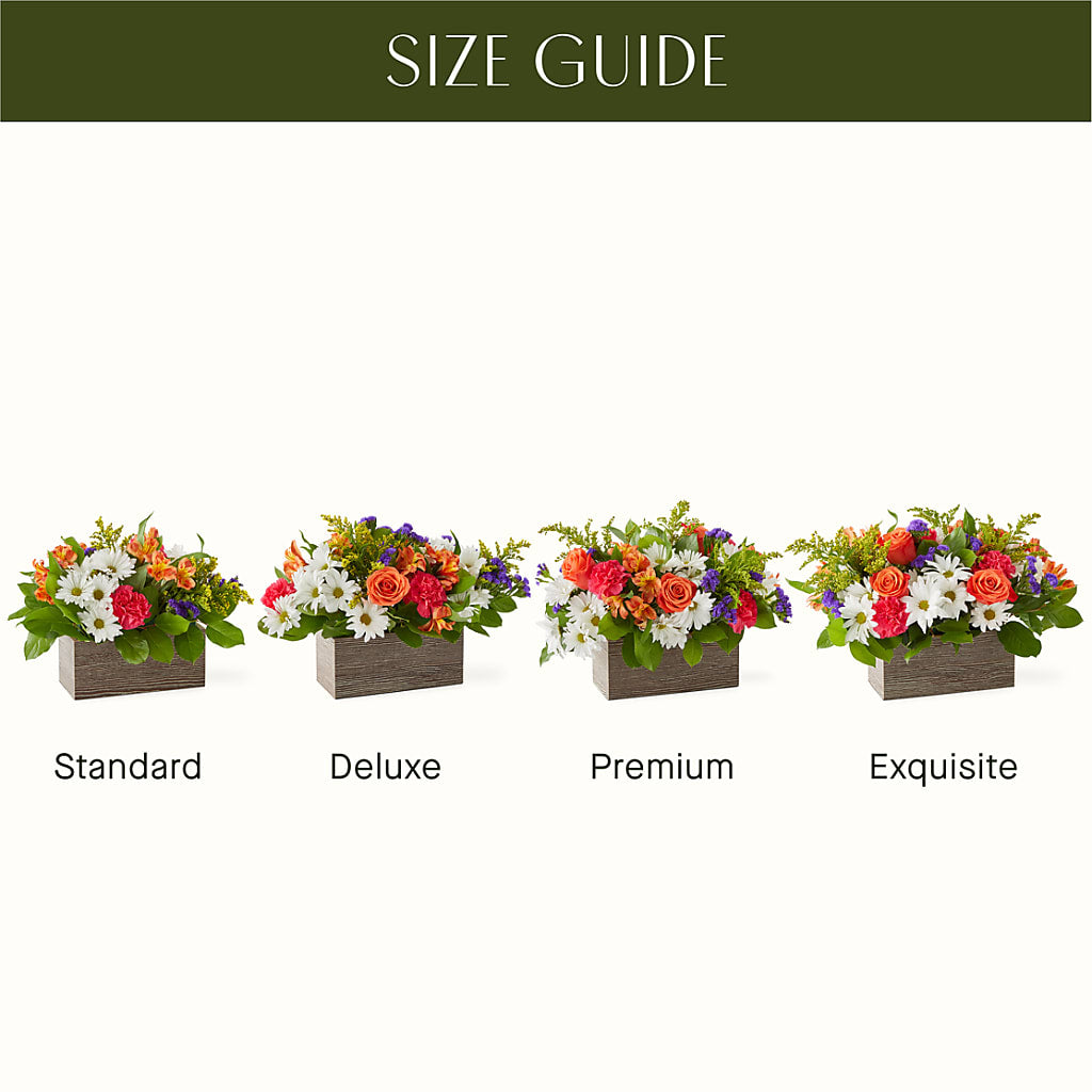 Oopsie Daisy Box Bouquet –  Foryouflower.com, Tontitown AR