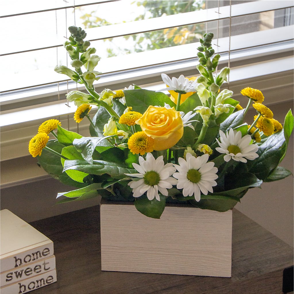 Sun Salutation Box Bouquet –  Foryouflower.com, Tontitown AR