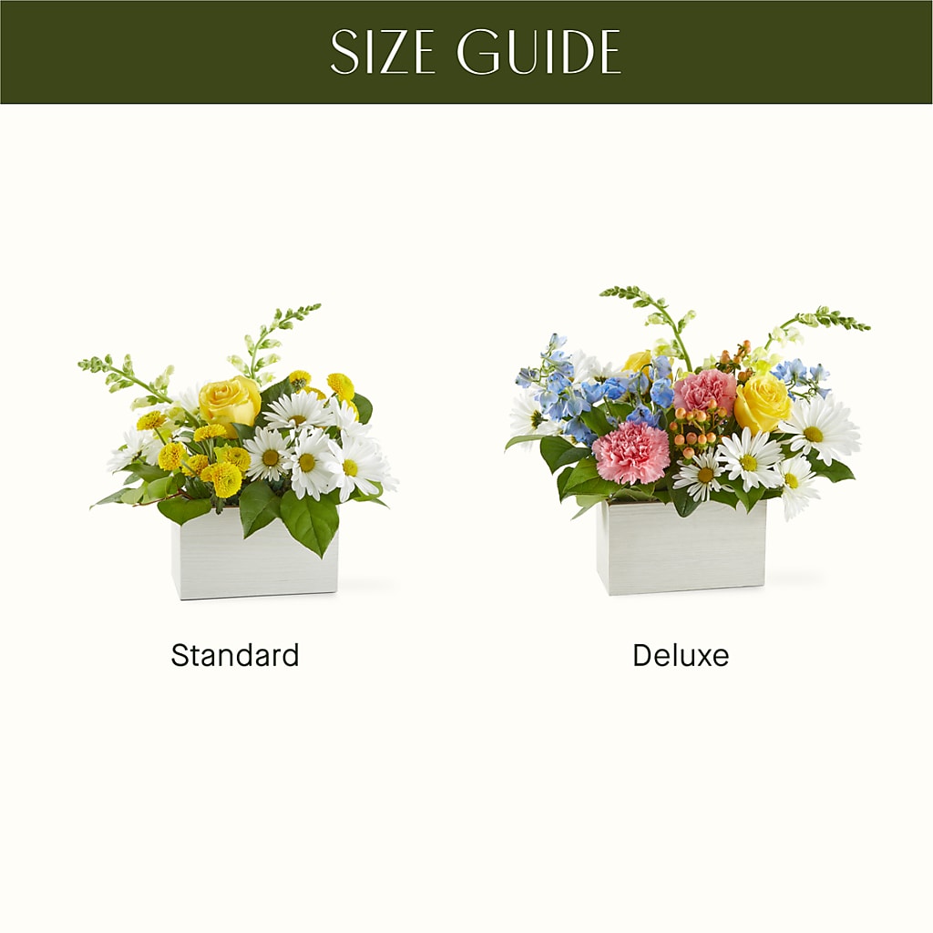Sun Salutation Box Bouquet –  Foryouflower.com, Tontitown AR