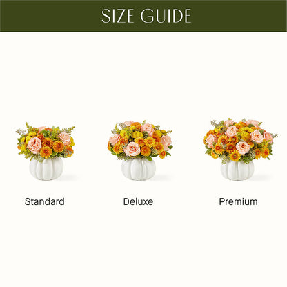 Peachy Pumpkin –  Foryouflower.com, Tontitown AR