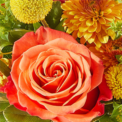 Gourdgeous Pumpkin –  Foryouflower.com, Tontitown AR