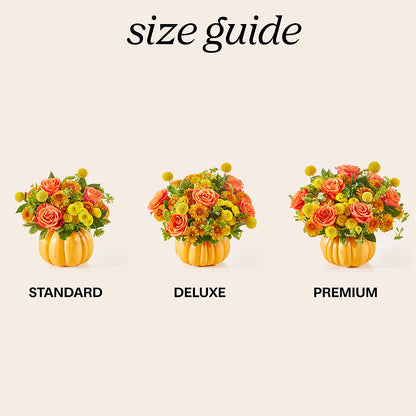 Gourdgeous Pumpkin –  Foryouflower.com, Tontitown AR