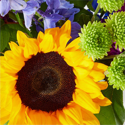 Catching Rays Bouquet –  Foryouflower.com, Tontitown AR