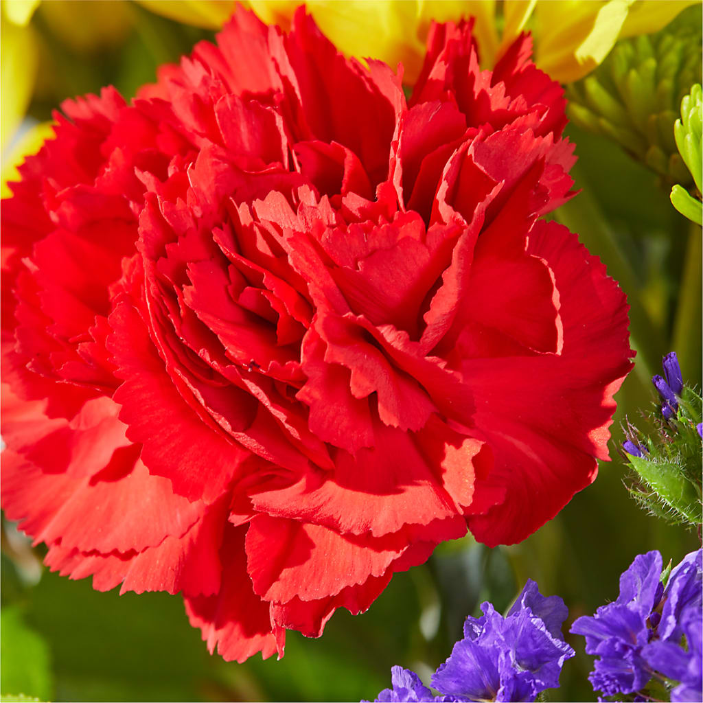 Brighter Days Bouquet –  Foryouflower.com, Tontitown AR