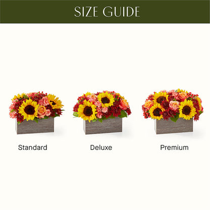 Fresh Cider Bouquet –  Foryouflower.com, Tontitown AR