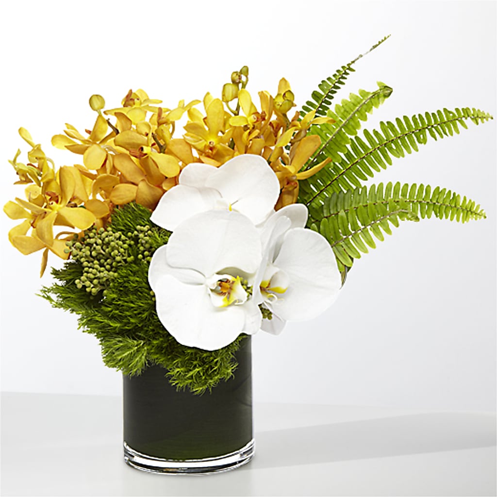 The Tropics –  Foryouflower.com, Tontitown AR