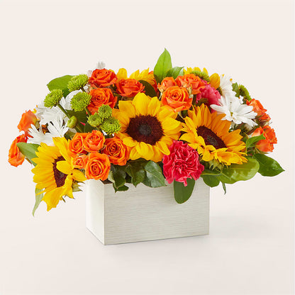 Sun-drenched Blooms Box Bouquet –  Foryouflower.com, Tontitown AR