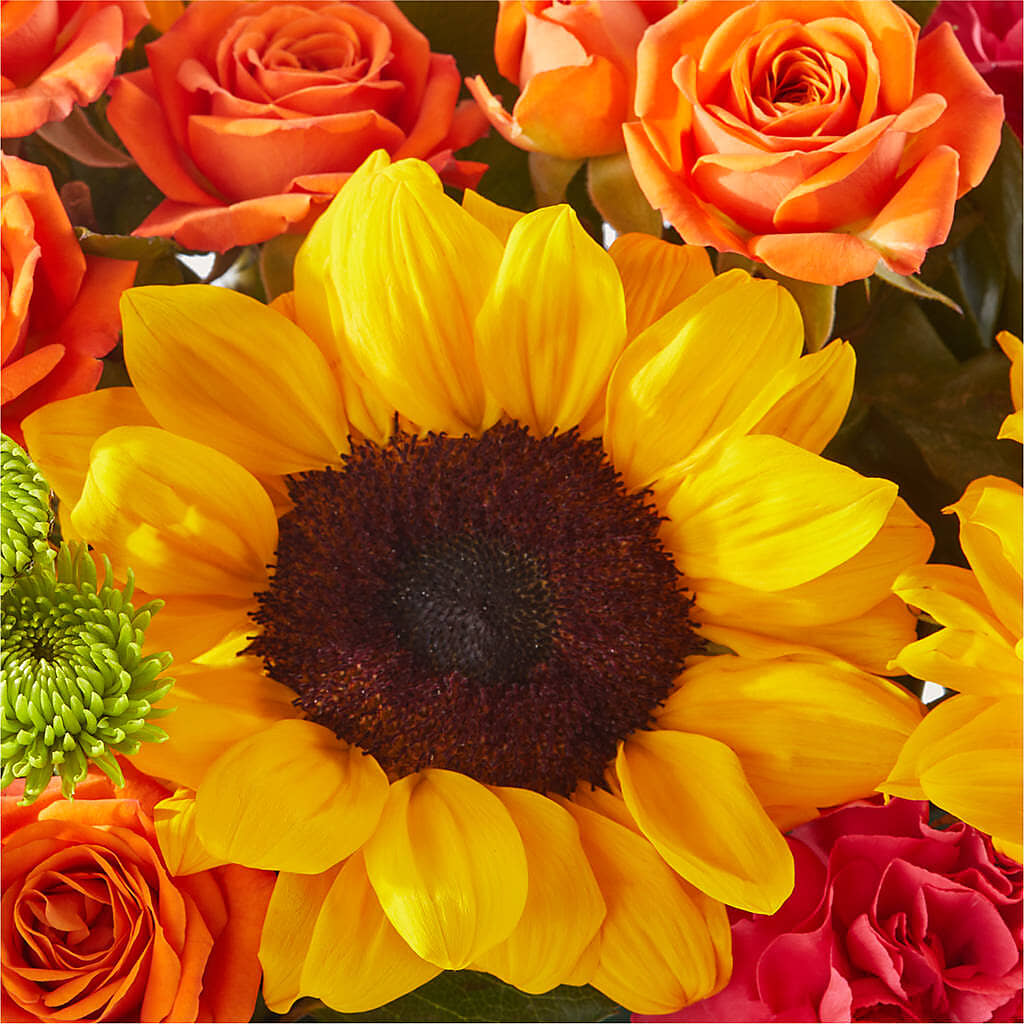 Sun-drenched Blooms Box Bouquet –  Foryouflower.com, Tontitown AR