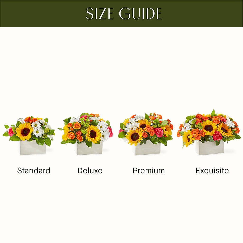 Sun-drenched Blooms Box Bouquet –  Foryouflower.com, Tontitown AR