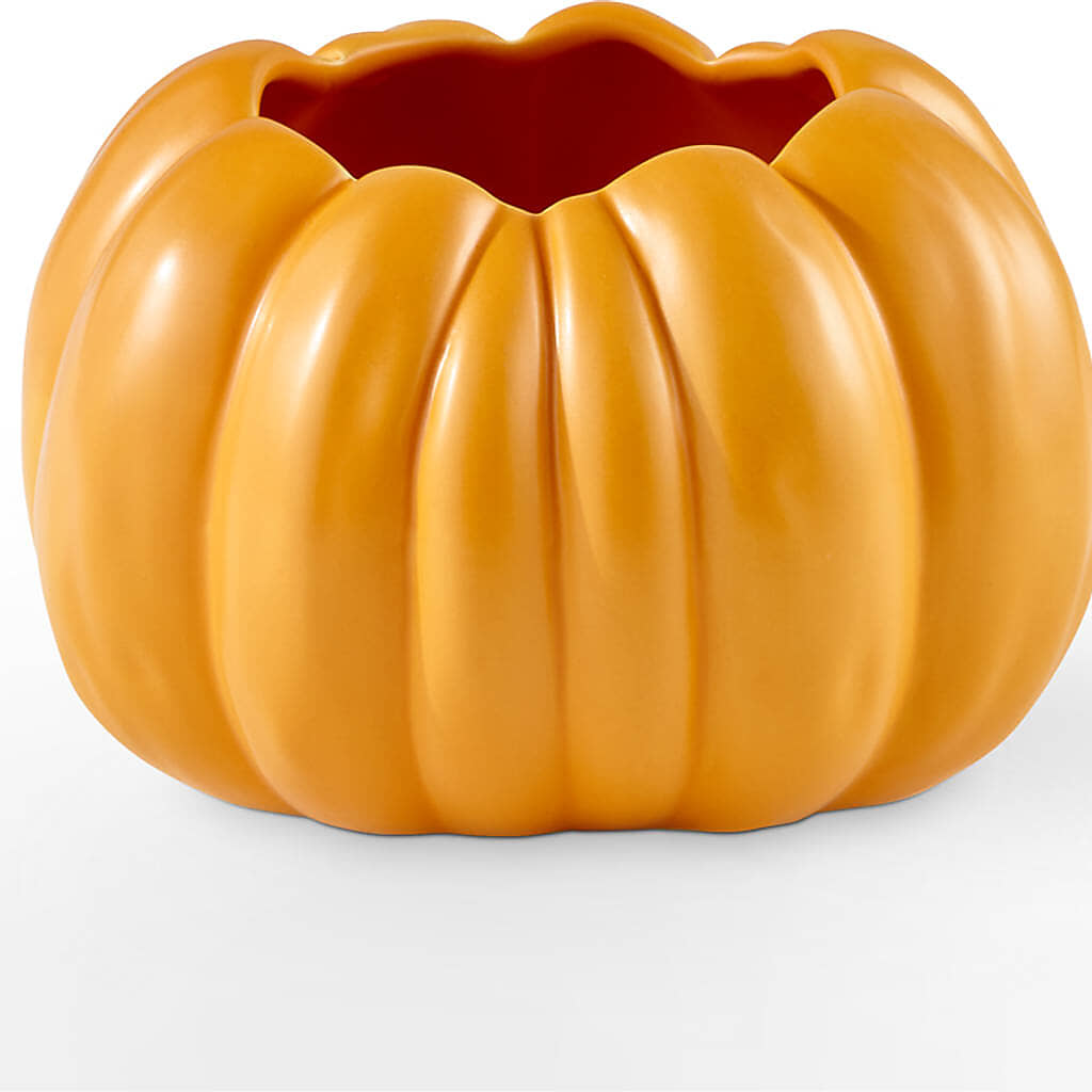Pick of the Patch Pumpkin Bouquet –  Foryouflower.com, Tontitown AR