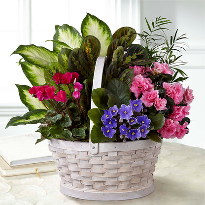 Peaceful Garden Planter –  Foryouflower.com, Tontitown AR