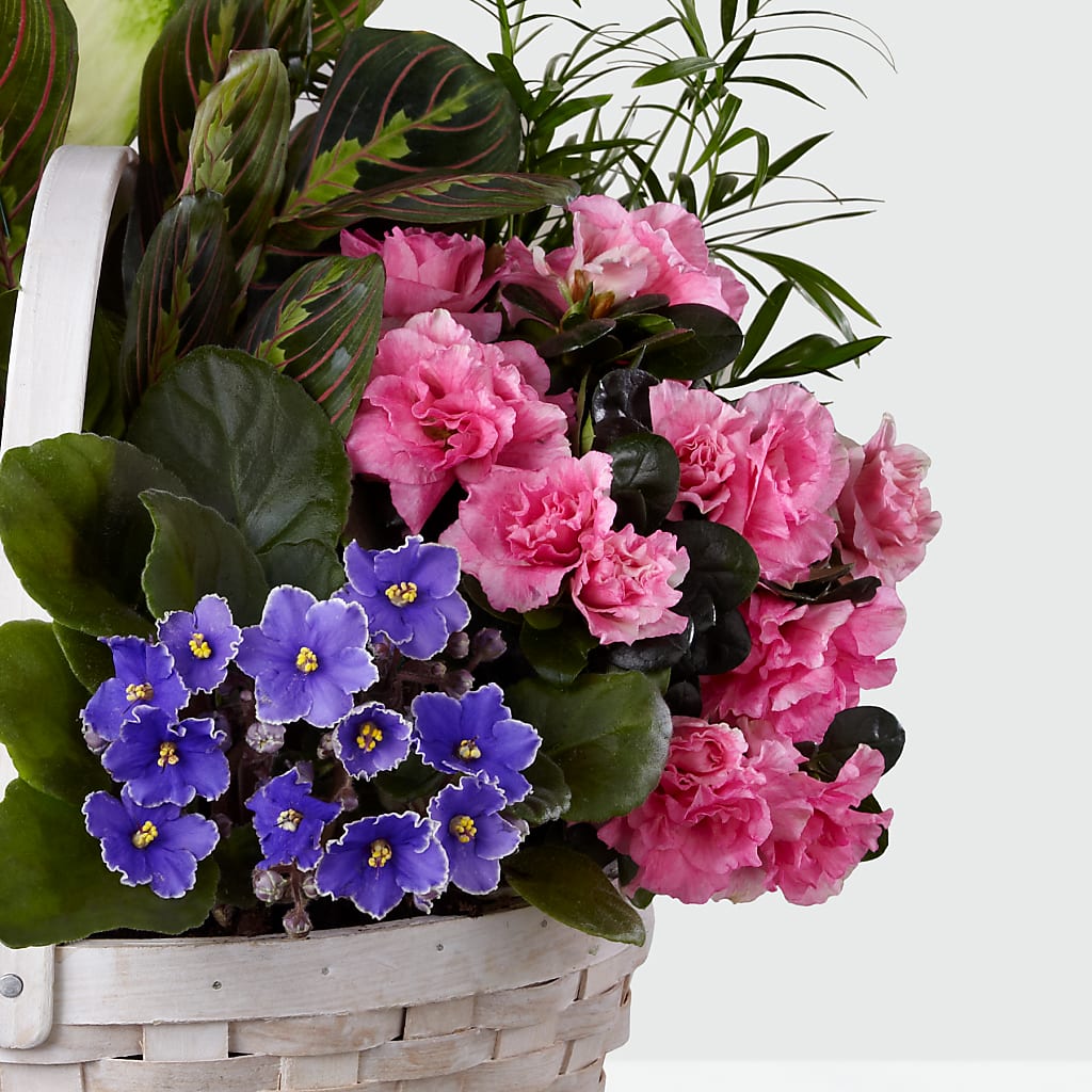 Peaceful Garden Planter –  Foryouflower.com, Tontitown AR