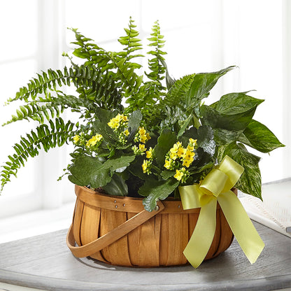 Always Dear Dishgarden –  Foryouflower.com, Tontitown AR