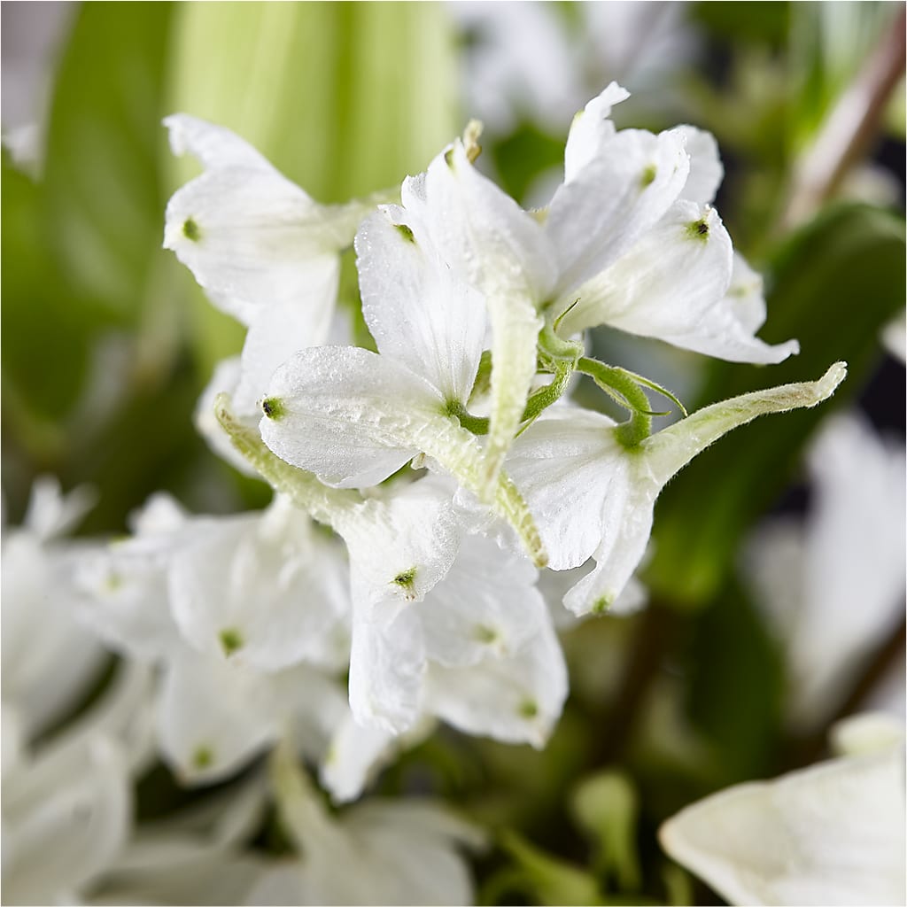 Classic Ivory – A Florist Original –  Foryouflower.com, Tontitown AR