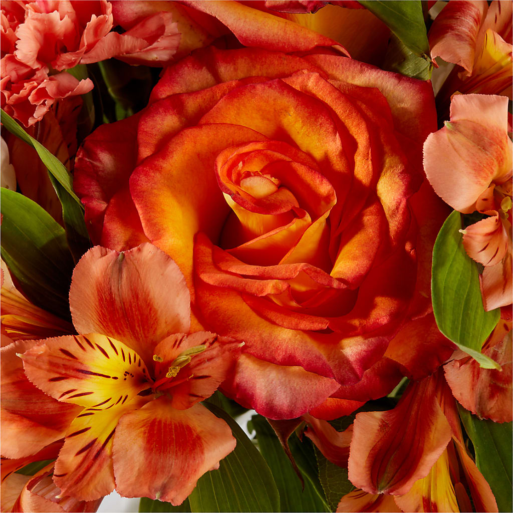 Apricot Glow Bouquet –  Foryouflower.com, Tontitown AR