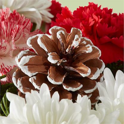 Candy Cane Lane Bouquet –  Foryouflower.com, Tontitown AR