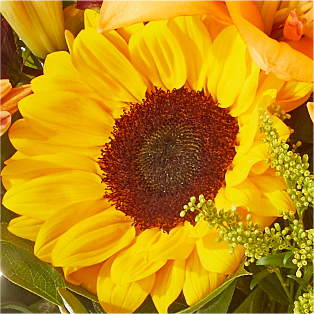 Seasons Change Bouquet –  Foryouflower.com, Tontitown AR