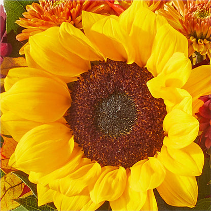 Sunny Side Bouquet –  Foryouflower.com, Tontitown AR