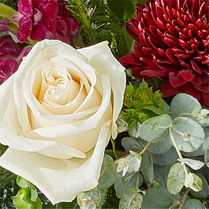 Cranberry Fizz Bouquet –  Foryouflower.com, Tontitown AR