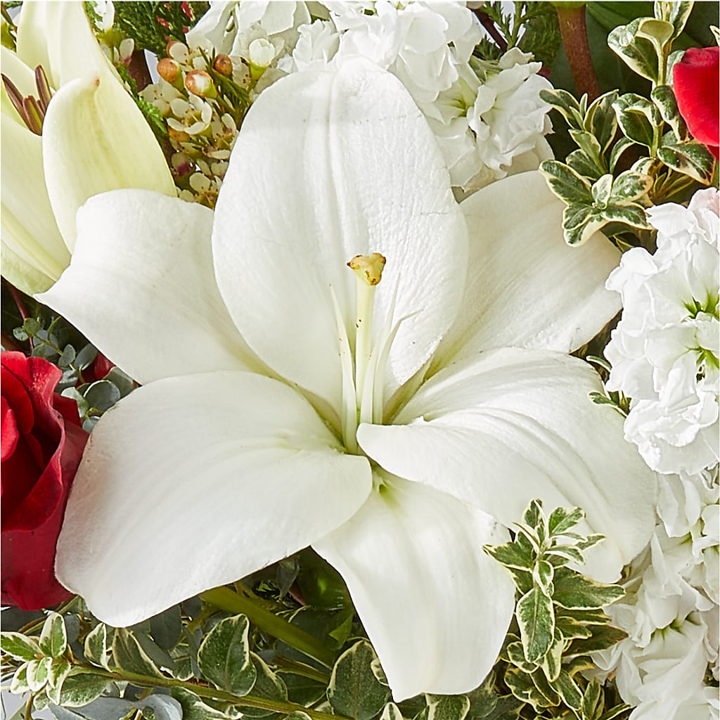 Twinkle Lights Bouquet –  Foryouflower.com, Tontitown AR
