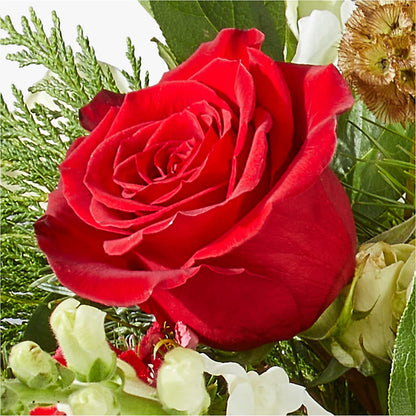 Deck the Halls Bouquet –  Foryouflower.com, Tontitown AR