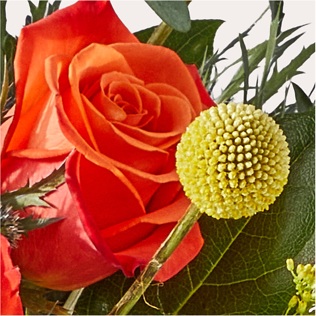 Disco Bouquet –  Foryouflower.com, Tontitown AR