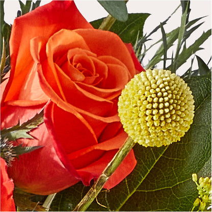 Disco Bouquet –  Foryouflower.com, Tontitown AR