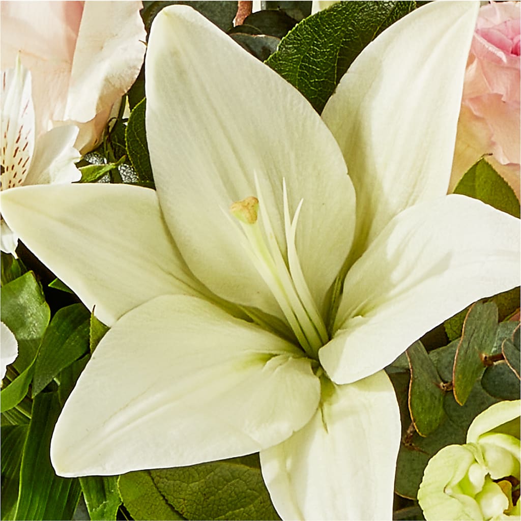 Ballet Slippers Bouquet –  Foryouflower.com, Tontitown AR