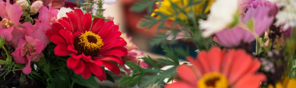 flowersOrUs_Image_1770830323532.jpeg
